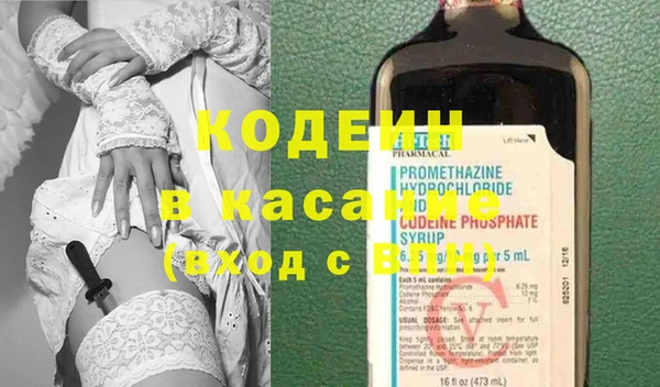 шишки Алексеевка