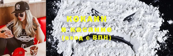шишки Алексеевка
