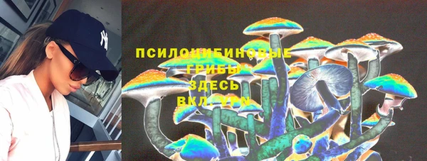 шишки Алексеевка
